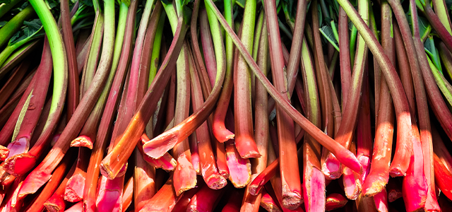 Is it true? 5 myths about rhubarb