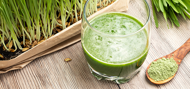 How healthy is barley grass?
